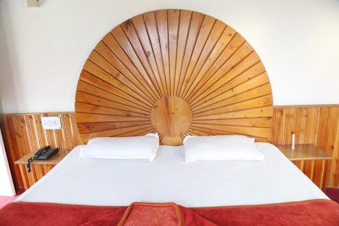 Him Parvat Hotel, Manali 2